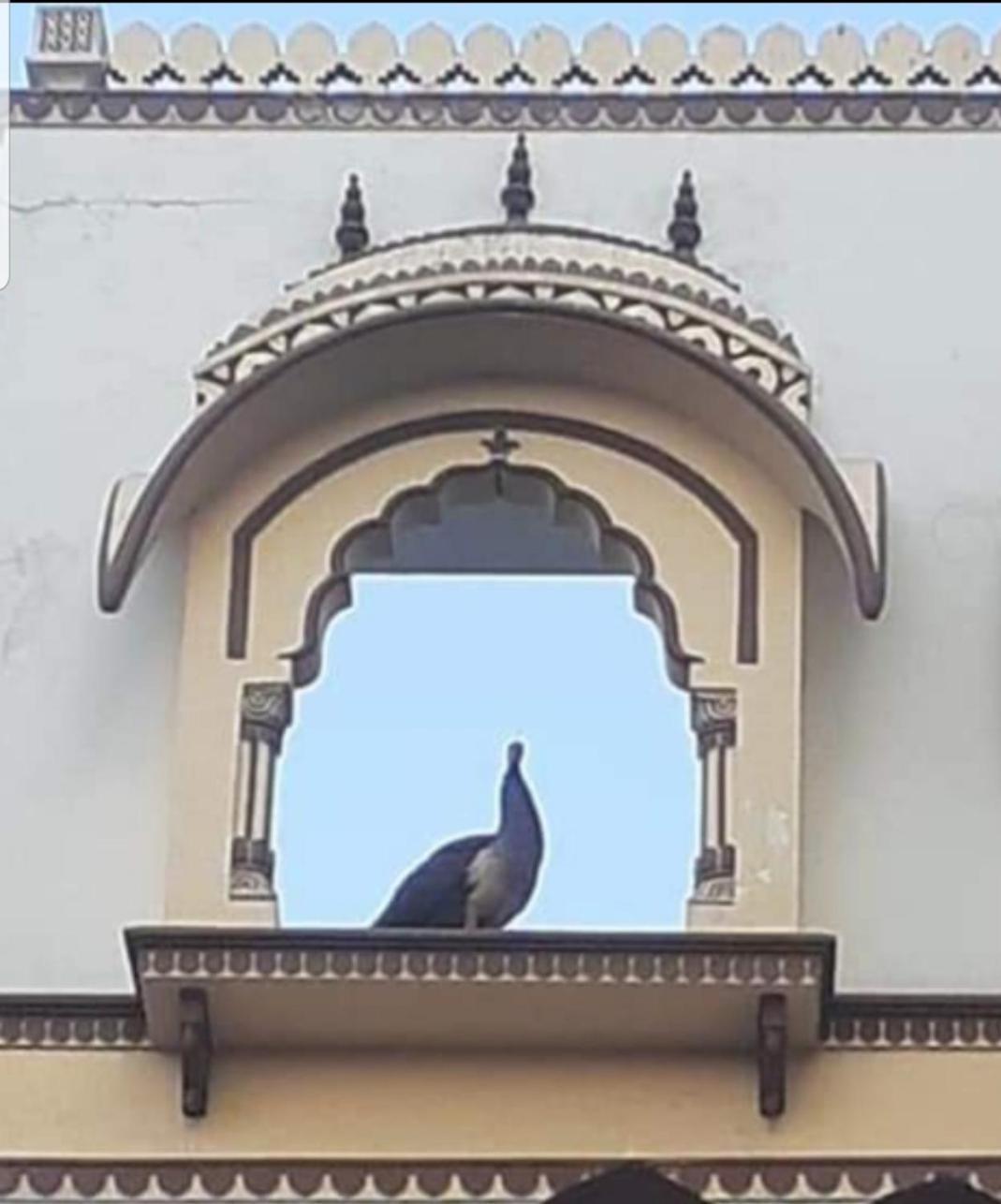 דירות ג'איפור Sureli Haveli מראה חיצוני תמונה